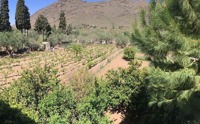 Apartament Giannis Pisses