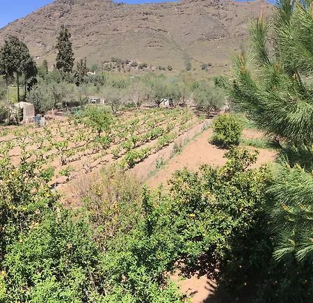 Appartement Giannis Pisses